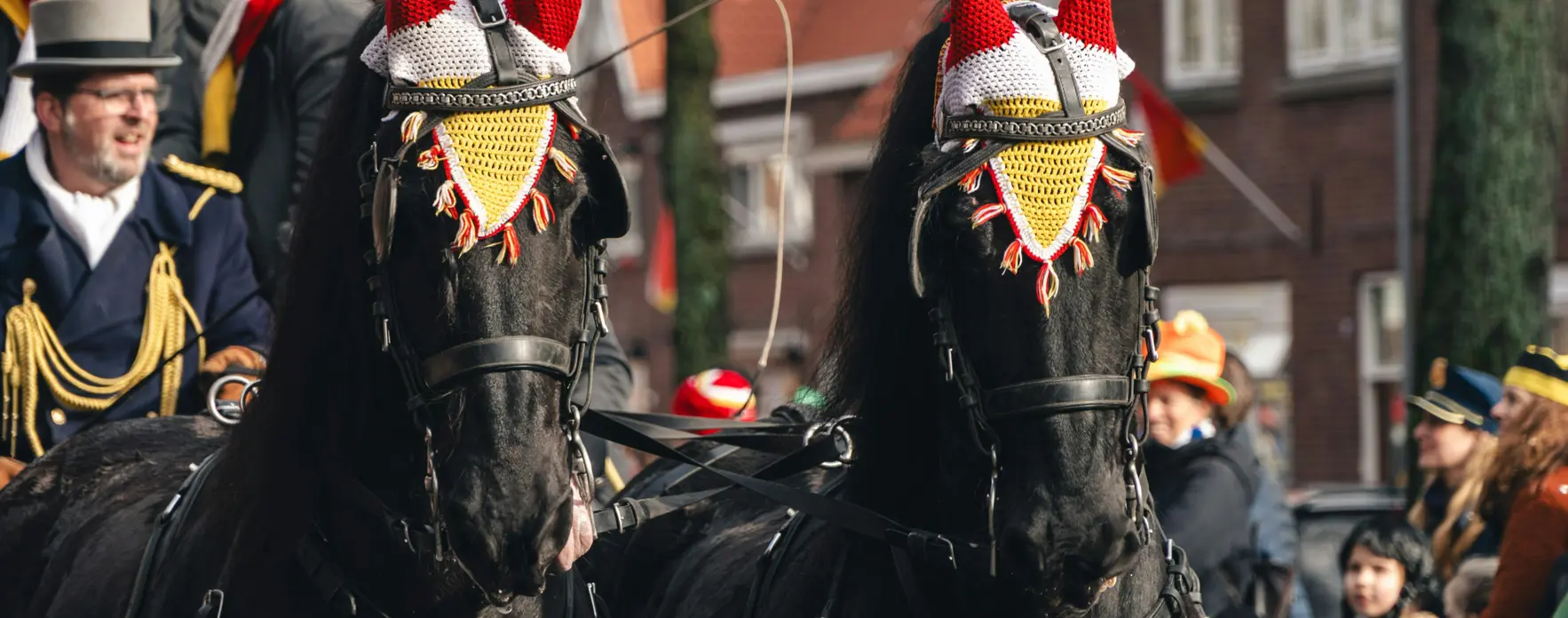 Graddes Bxvjoaznbxq Unsplash